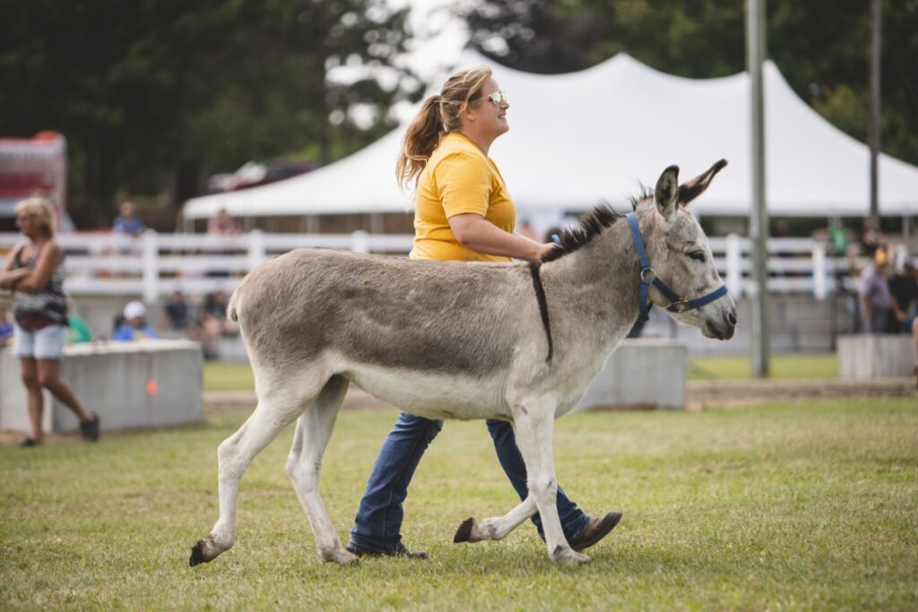 RicevilleFair2023 5113