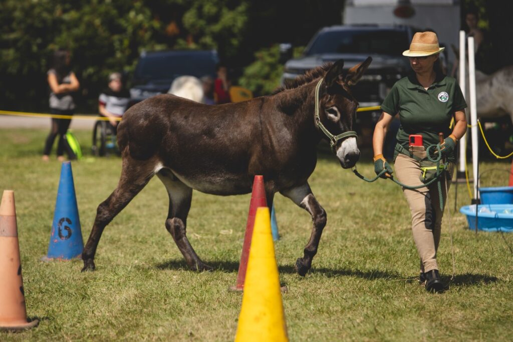 RicevilleFair2023 5227